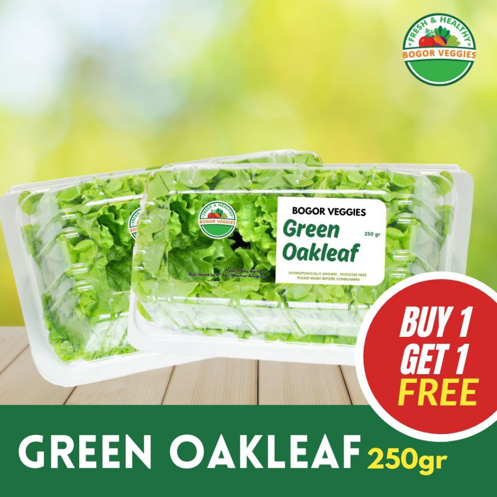 

Green Oakleaf Beli 1 Gratis 1/Buy 1 Get 1 250gr Bogor Veggies