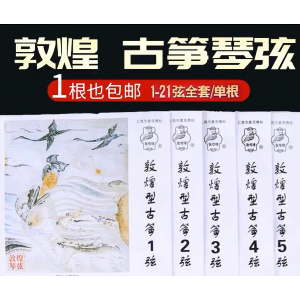 Guzheng Strings Set 1 - 10 - DunHuang Type A