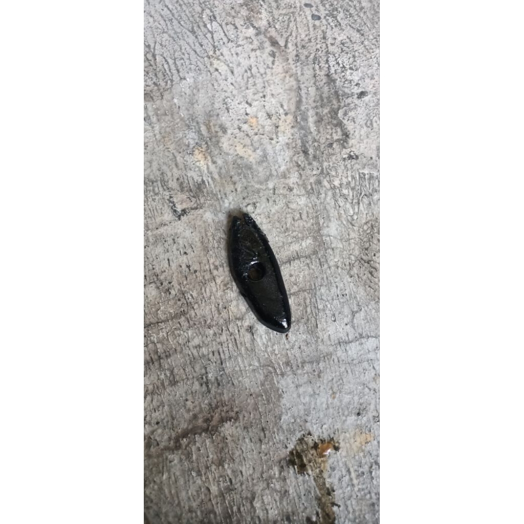 pillion kanan kymco trend