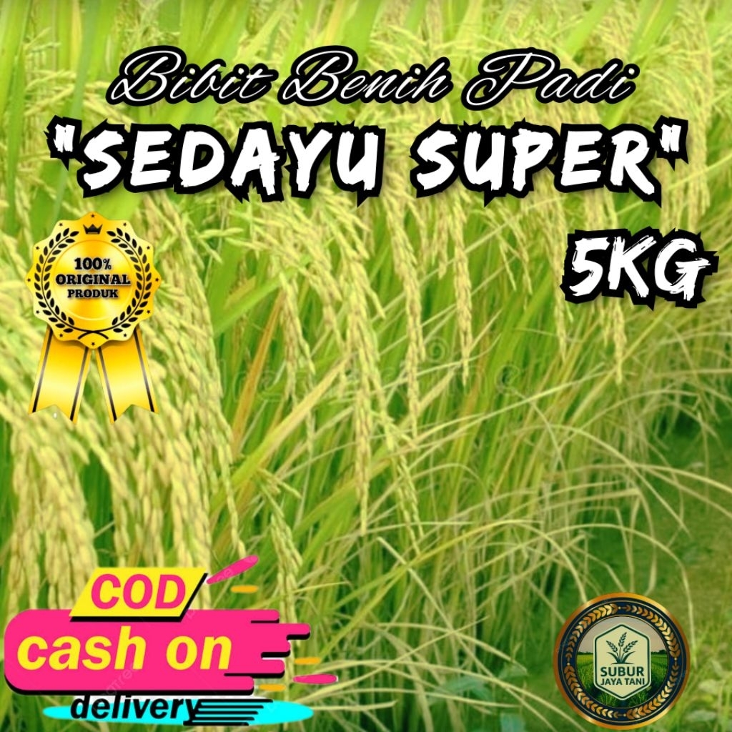 Bibit/Benih Padi SEDAYU SUPER Benih Padi Super Unggul Berkualitas (5kg)
