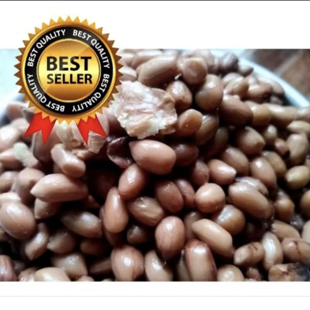 Umpan Ikan Bawal Kacang Presto / Umpan Bawal Galatama Kacang Presto Gacor