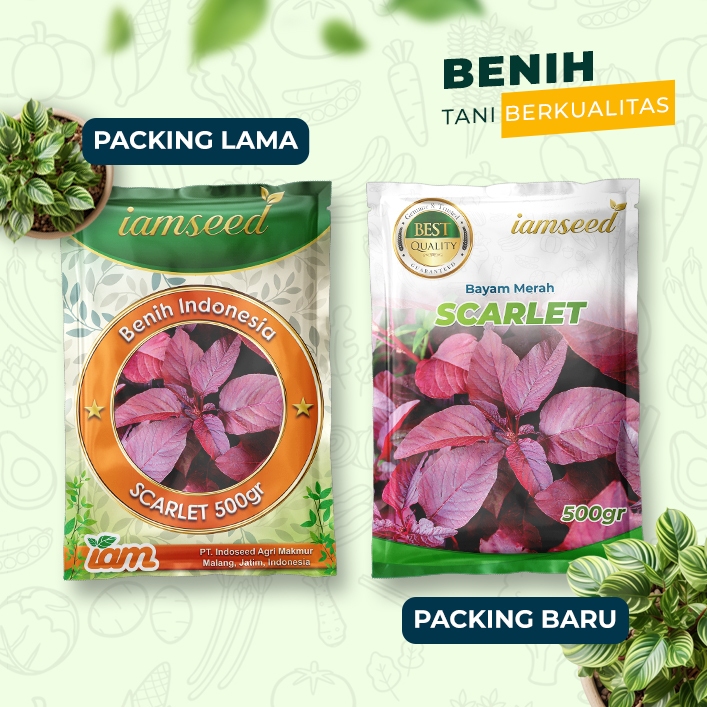 

Scarlet 500gr | Bayam merah