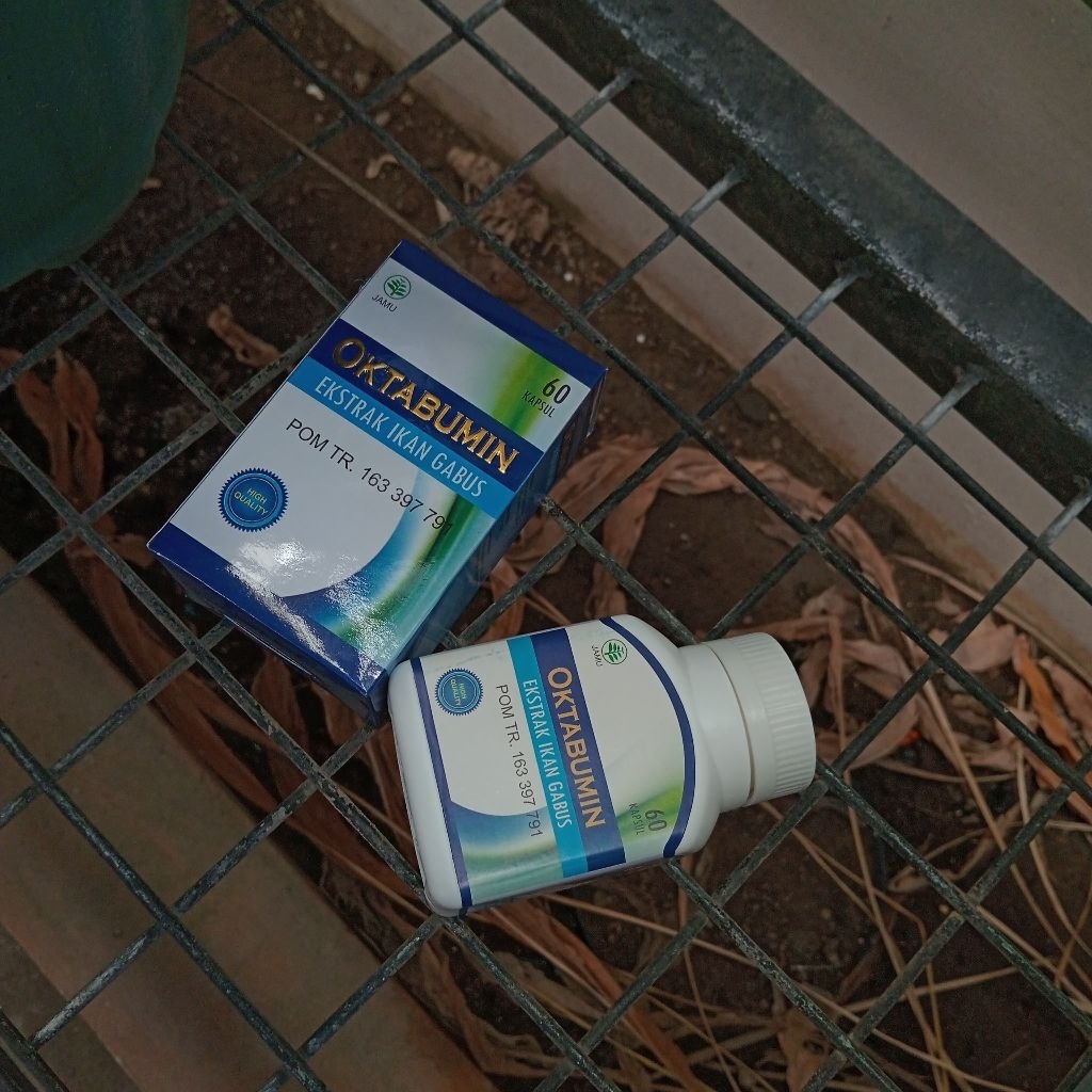 Oktabumin Kapsul Minyak Ikan Gabus Kutuk Herbal DIY