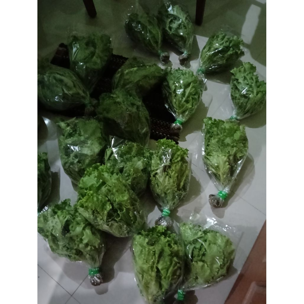 

selada