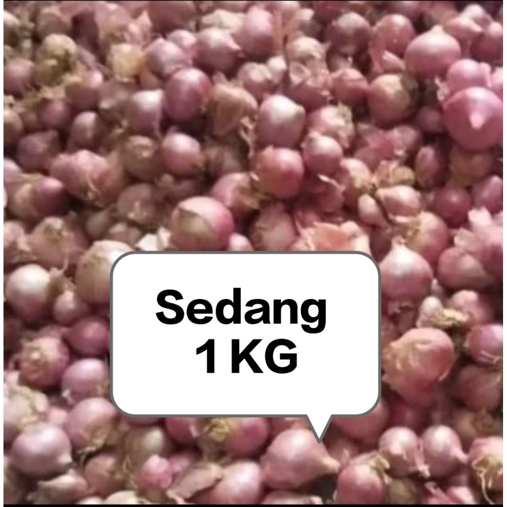 

Bawang Merah Sedang 1 kg