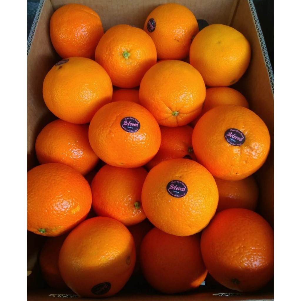 

Jeruk Sunkist Bocart 1 Kg