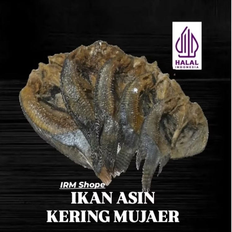 

IKAN ASIN KERING MUJAER