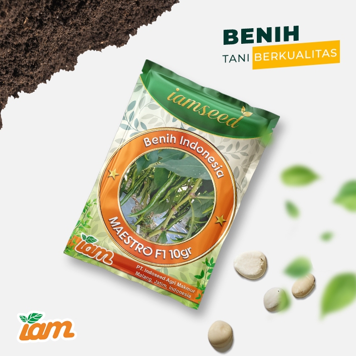 

Maestro F1 10gr | Cabai besar