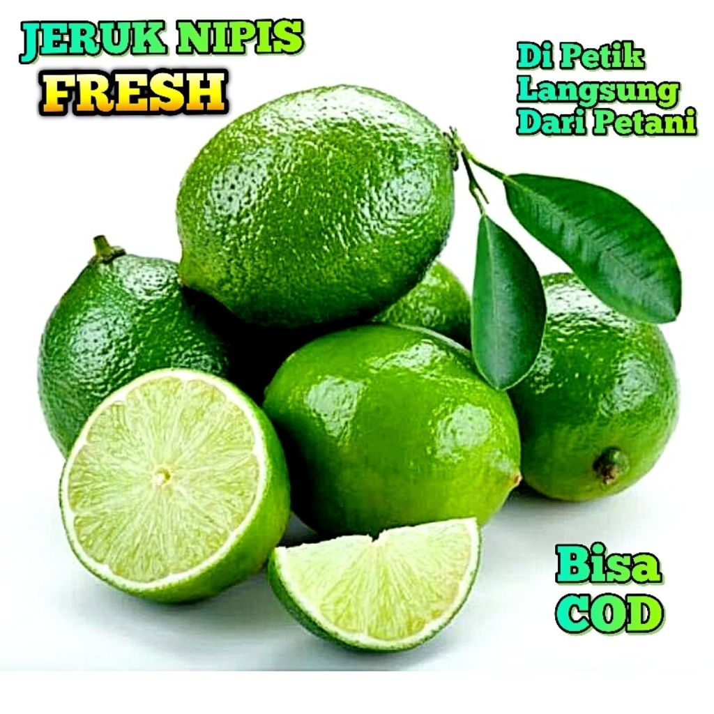 

Jeruk Nipis || Jeruk Pecel 1kg Segar Fresh (Langsung di Petik Dari Kebun)