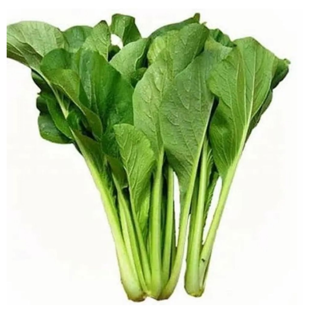 

sayur sawi hijau satu iket