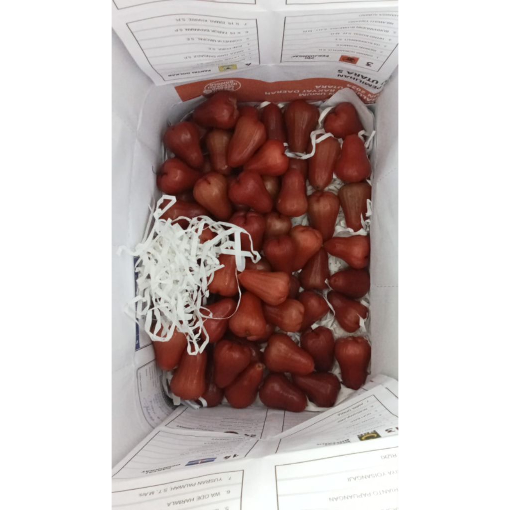 

Jambu Citra Fresh