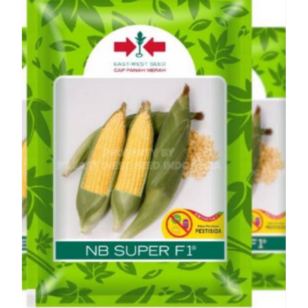 bibit jagung manis panah merah