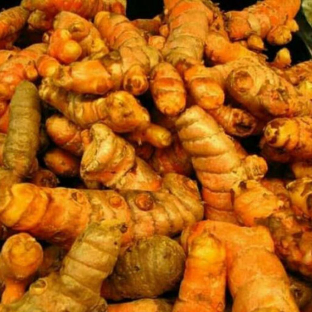 

kunyit / kunir bumbu masak 1kg