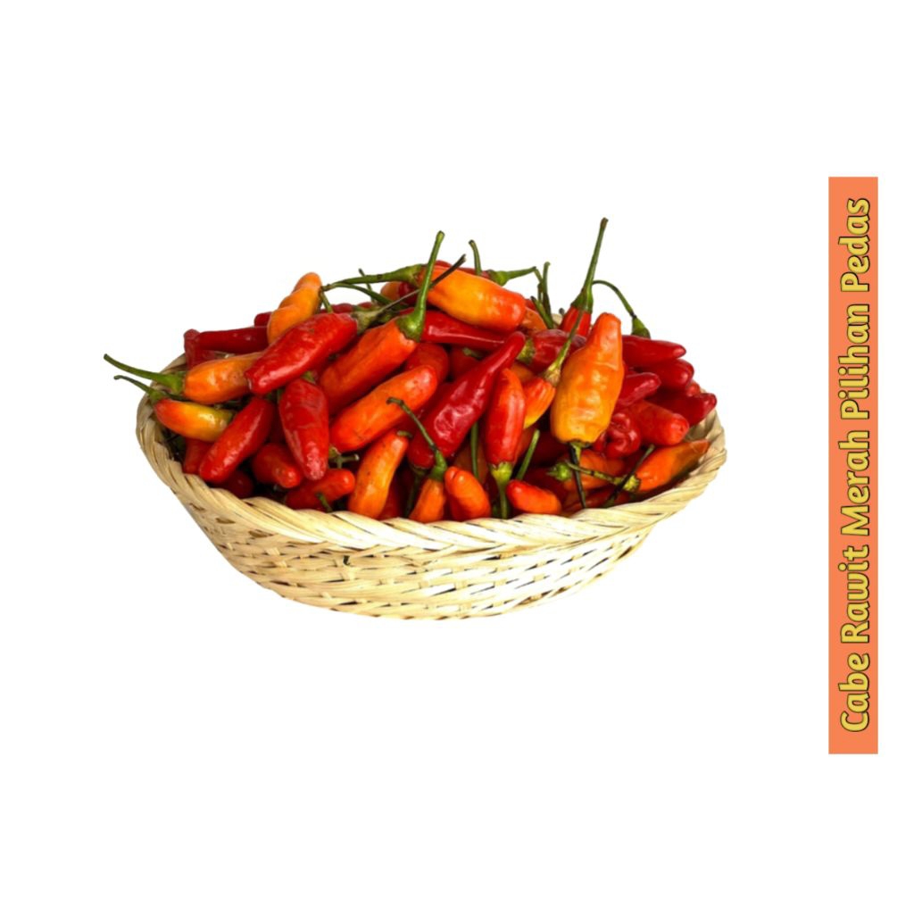 

Cabe Rawit Merah Pilihan Terbaik