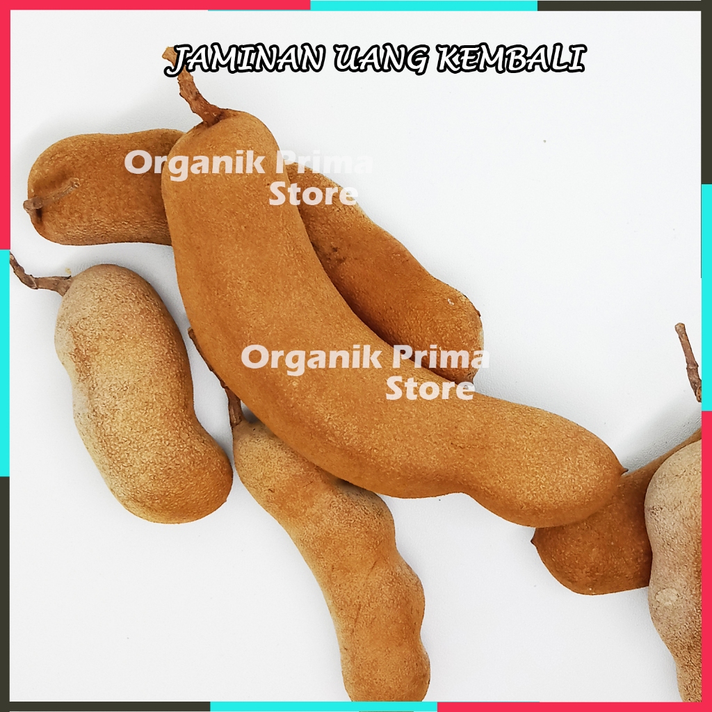 

Asem Jawa Kulit Segar 500gr Asli Asam Jawa Gunung