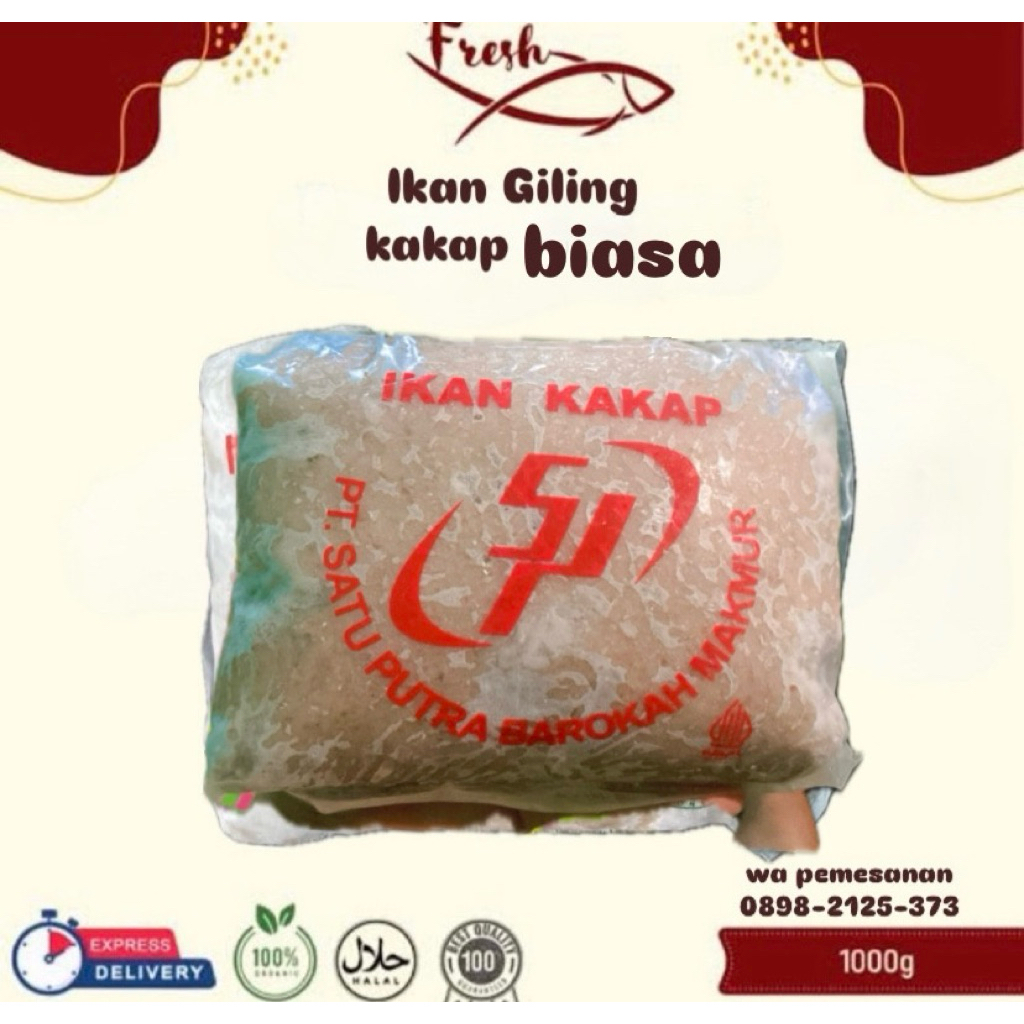 

IKAN GILING KAKAP BIASA
