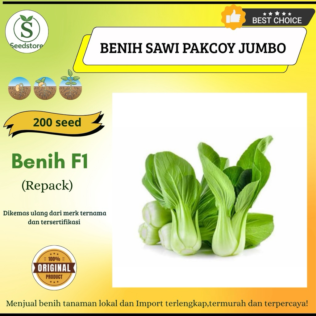 200 Benih Biji Sawi Pakcoy Jumbo