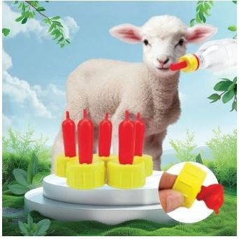 DOT CEMPE - Nipple Pentil Susu Botol Susu Dot Susu Cempe Anakan Kambing Tempat Minum Kambing