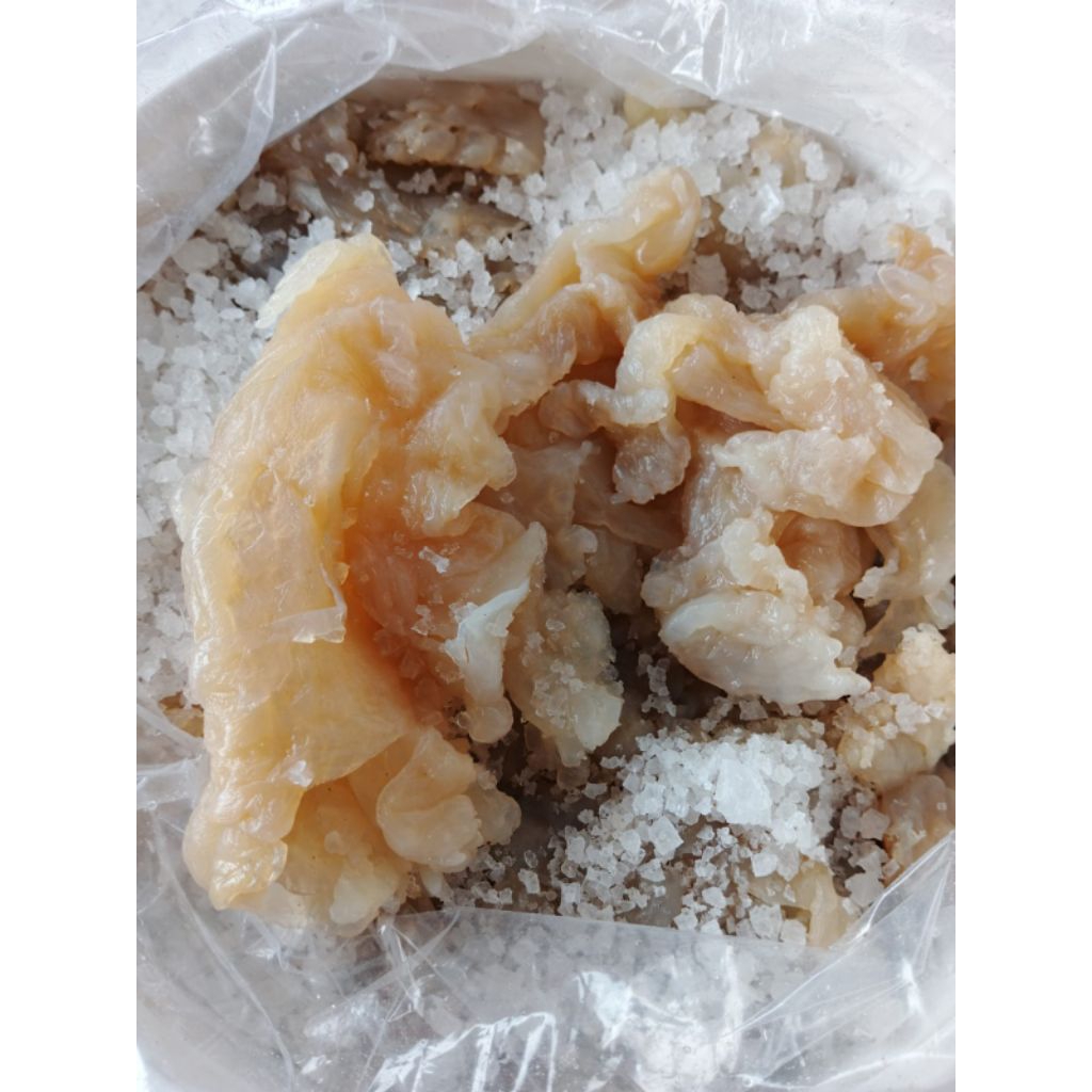 

Ubur-ubur/Jelly fish Bunga/bagian kaki kualitas top 900k/tong berat bersih 20 kg/tong