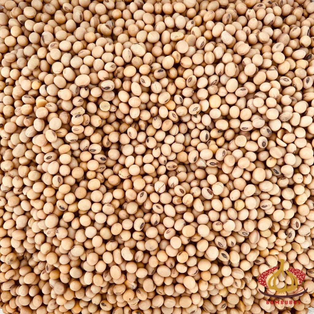 

Kacang Kedelai Sortir Soy Bean 1 Sak Karung Ball 25 kg Reguler Kargo
