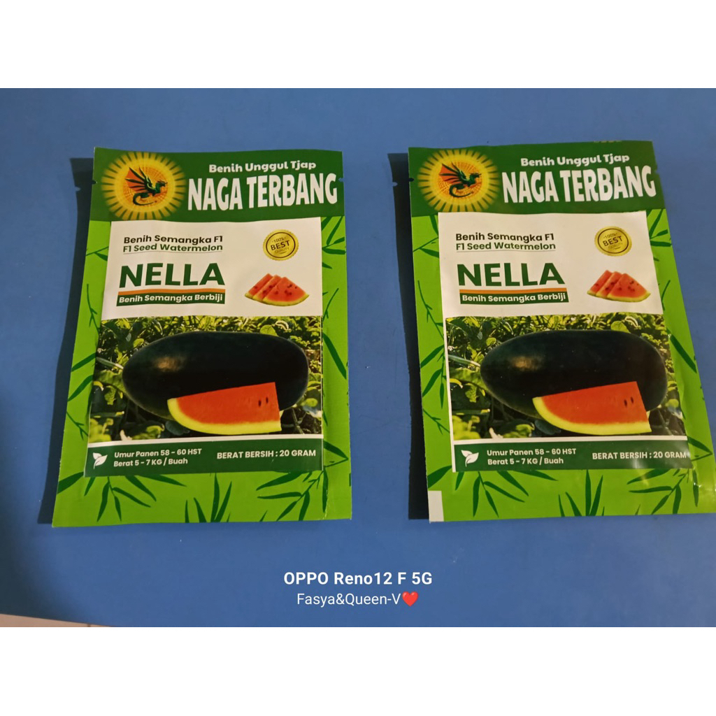 

semangka inul kulit hitam