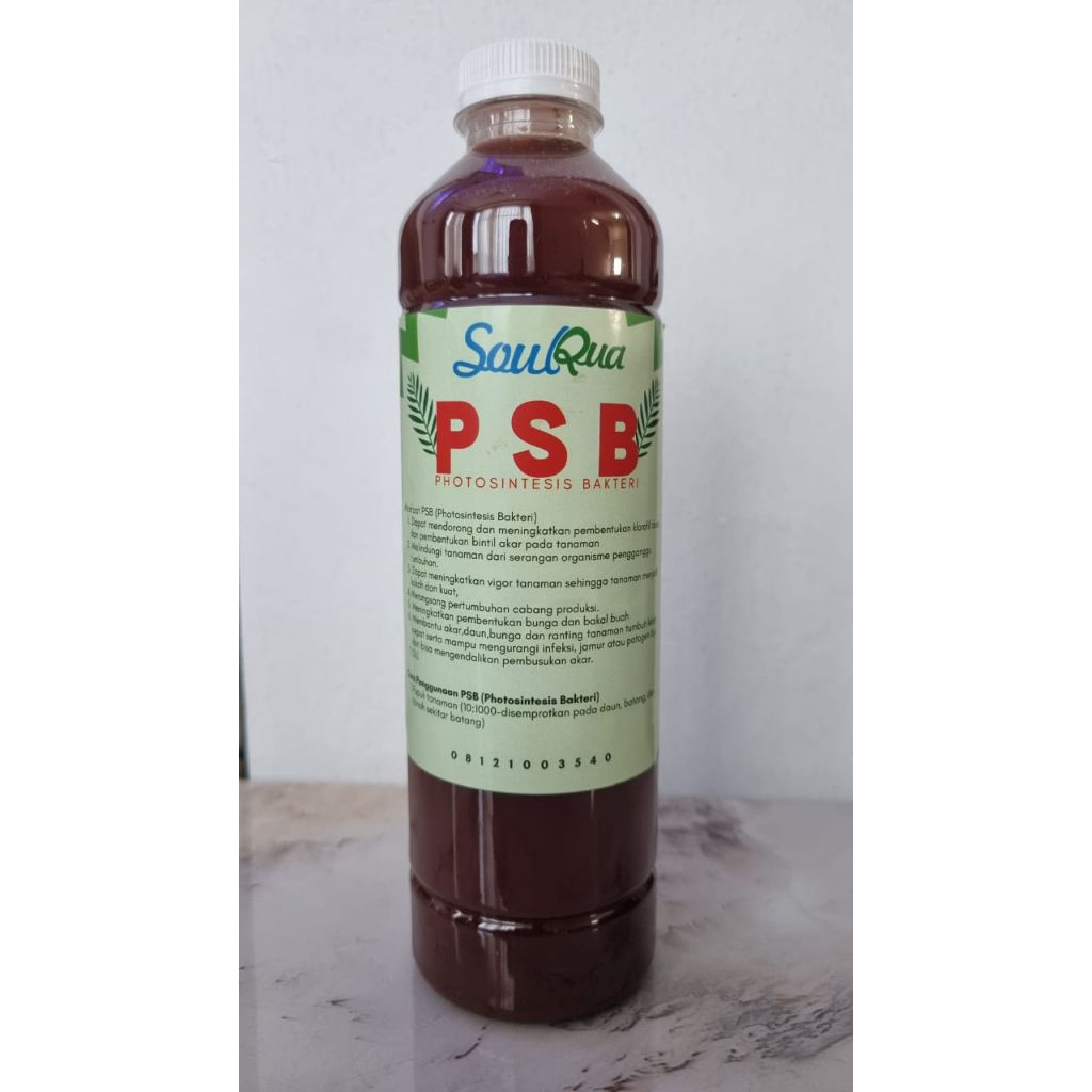 Fotosintesis Bakteri (PSB)