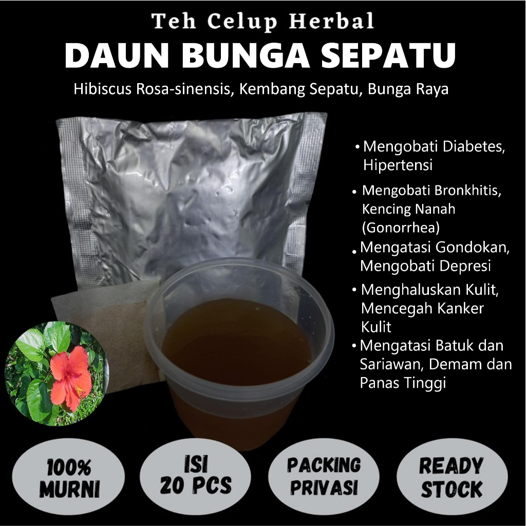 

Teh Celup Herbal DAUN BUNGA SEPATU Mengatasi Bronkhitis Infeksi Saluran Kemih Depresi Batuk Sariawan