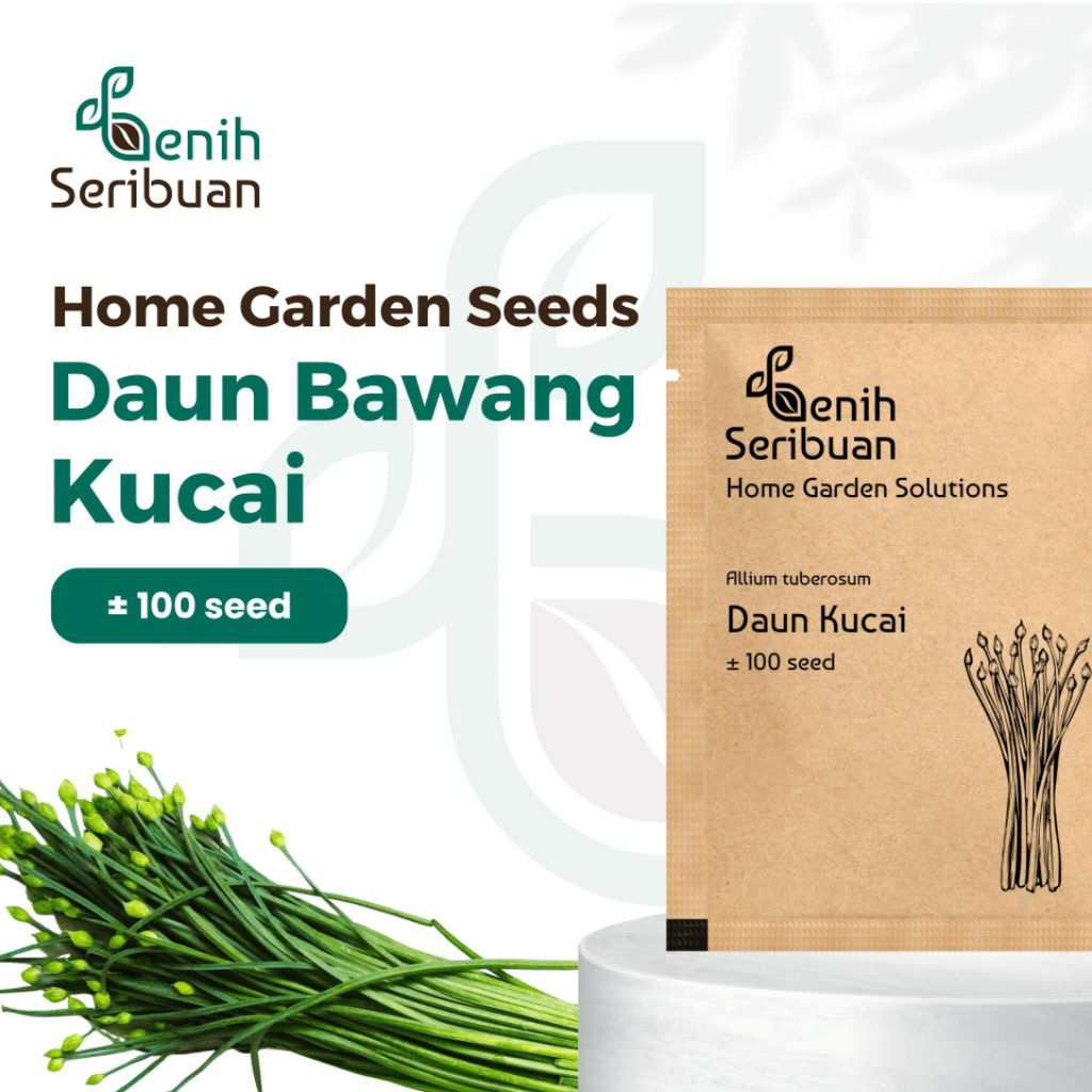 Benih Daun Kucai Tanaman Herb Heirloom Premium
