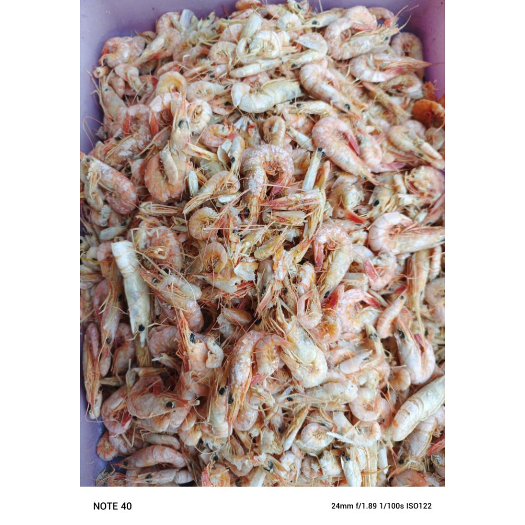 

UDANG KASAR, udang ebi, udang asin, ikan asin udang, berat 500gram