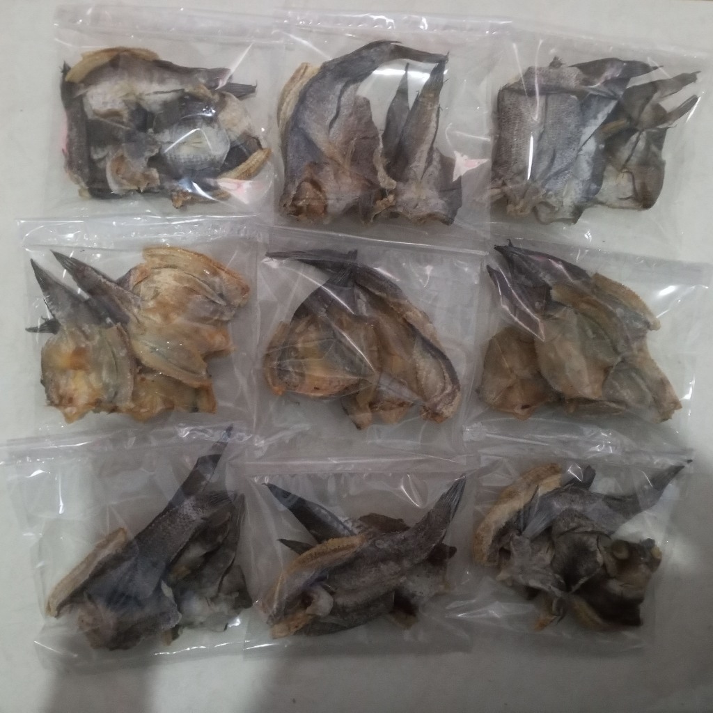 

Ikan Gabus