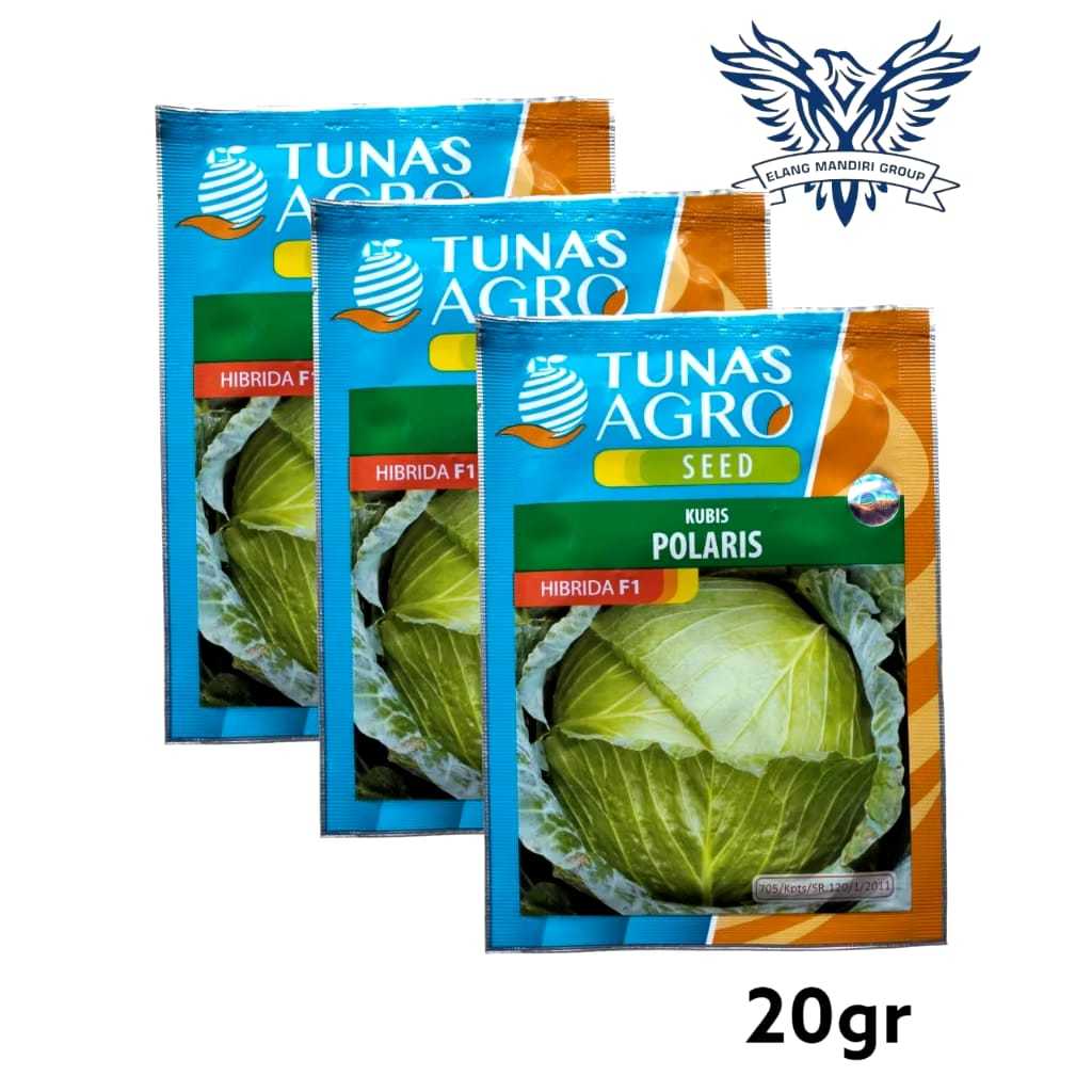 Benih Kubis Hibrida F1 POLARIS dari Tunas Agro- 20gram Tunas Agro