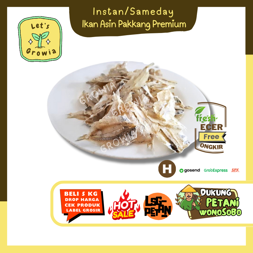 

Growia || Ikan Asin Pakkang Premium -- Hasil Petani Langsung EcerSayur Gunung (H)