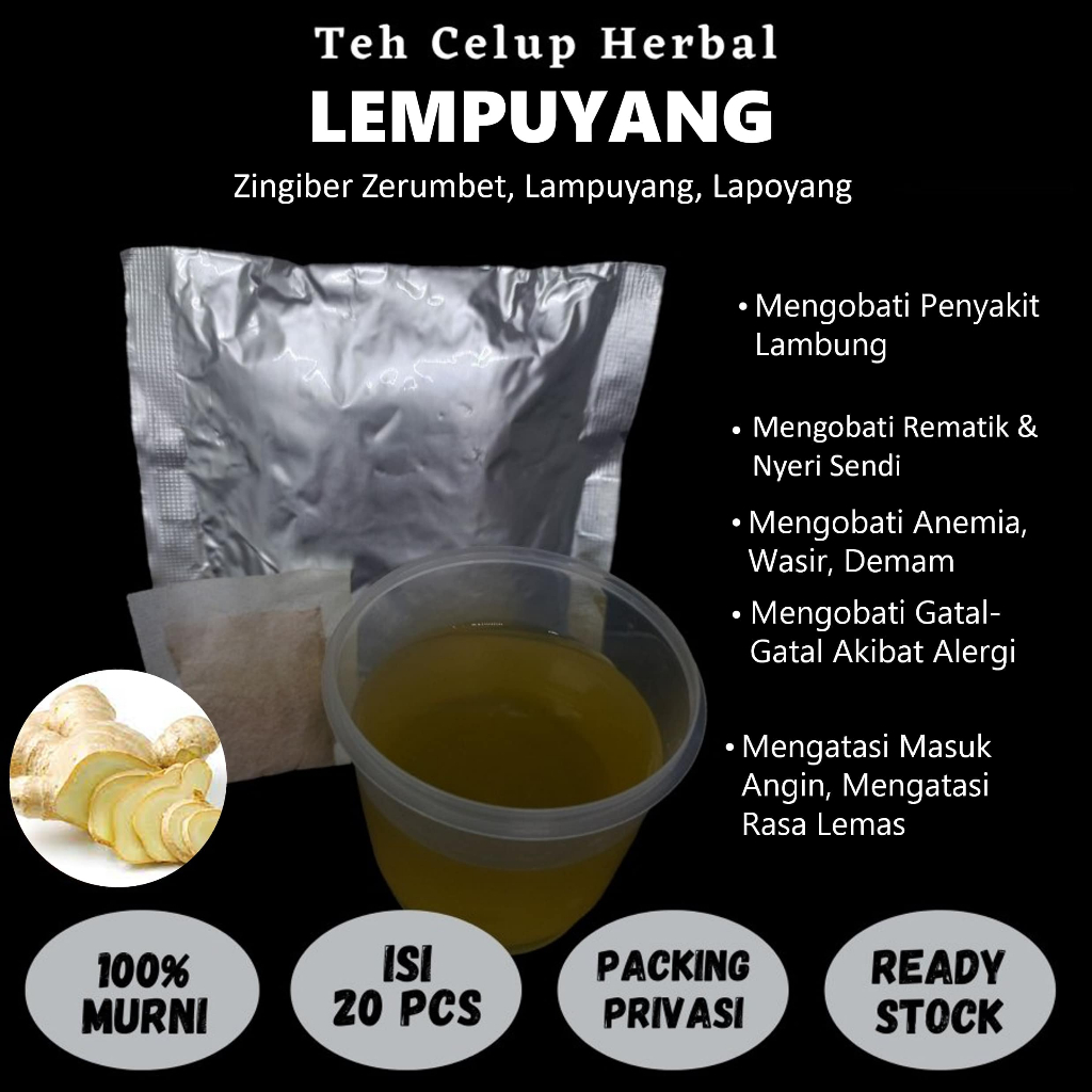 

Teh Celup Herbal LEMPUYANG Mengobati TBC Batuk Anemia Wasir Lambung Masuk Angin Rematik Nyeri Sendi