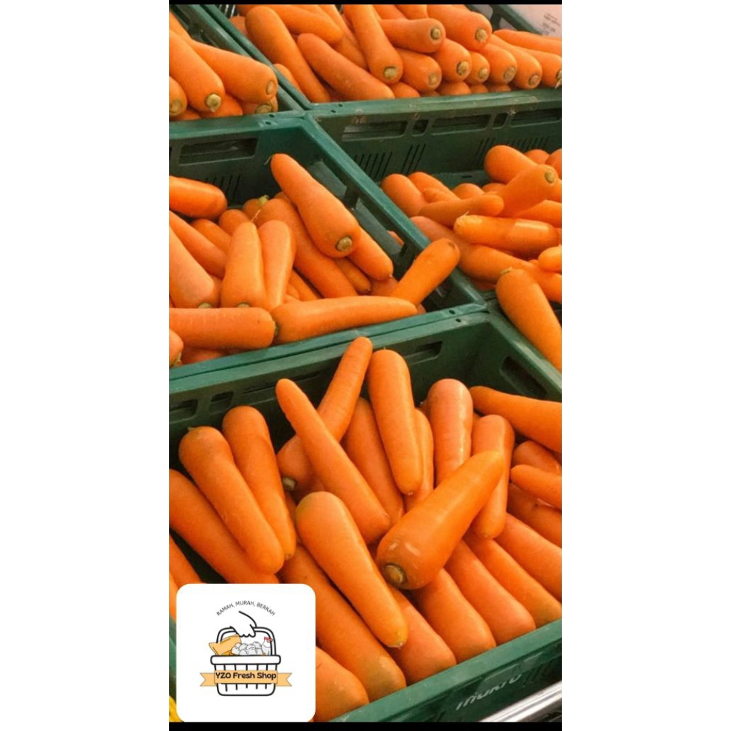 

Wortel Brastagi Fresh