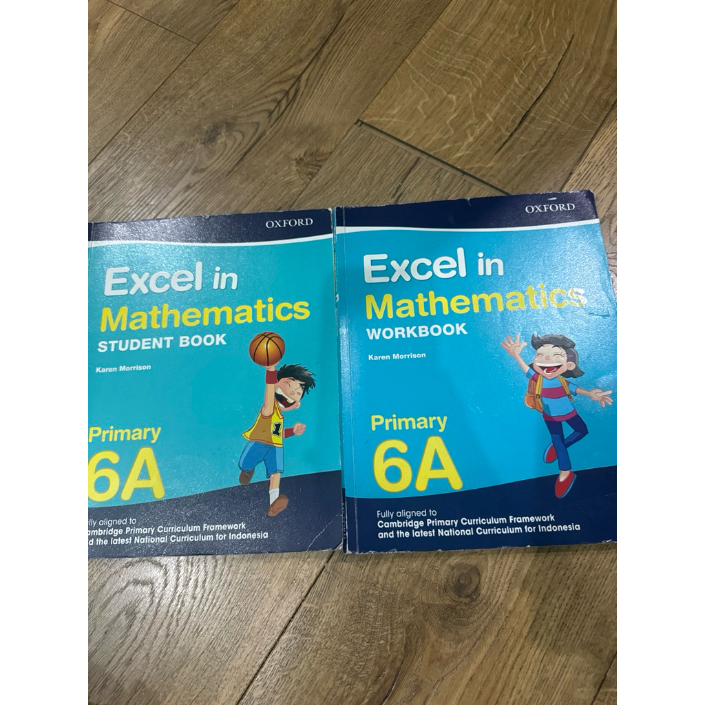 Excel in Mathematics 6A