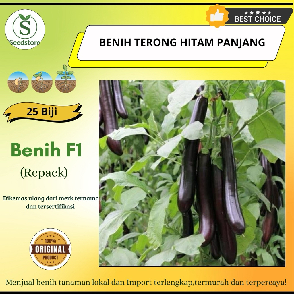 25 Benih Terong Hitam Panjang