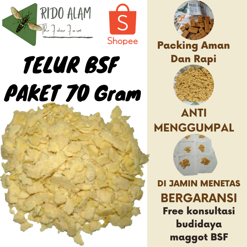 Telur maggot bsf Paket 70gram| Telur Lalat bsf Super |Telur bsf fresh baru di panen | telur maggot