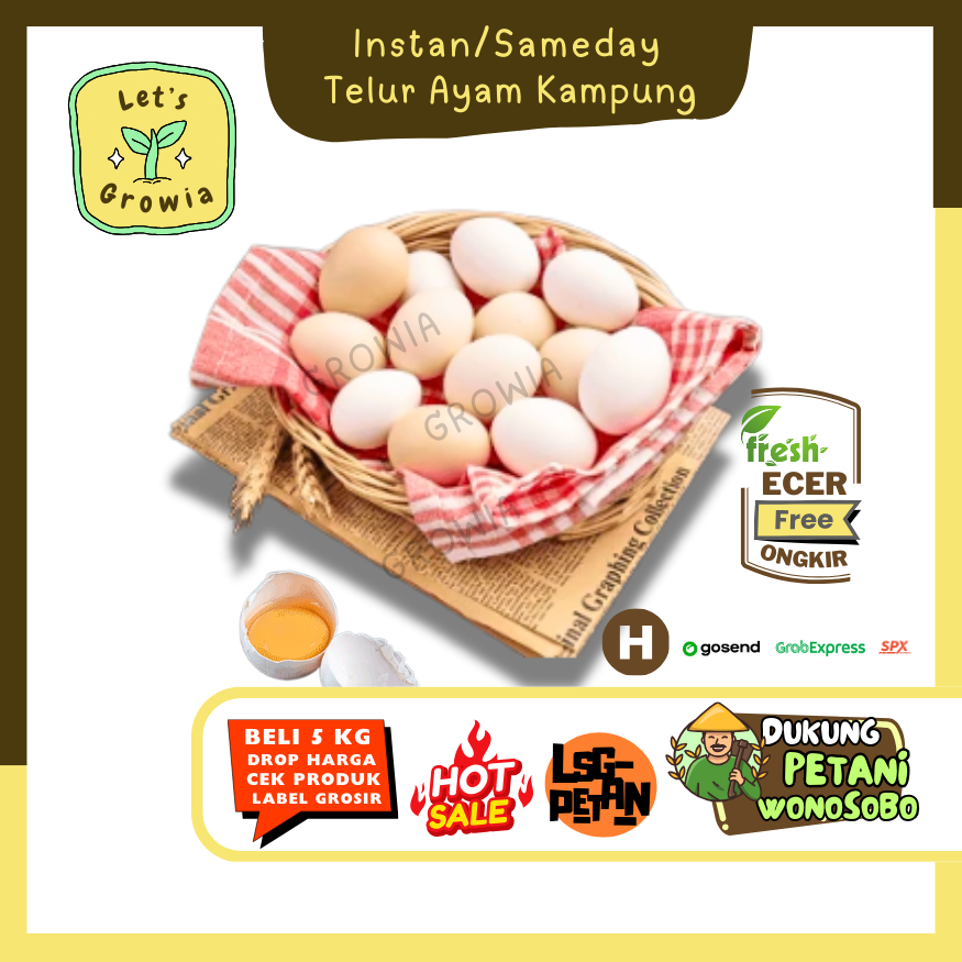 

Growia || Telur Ayam Kampung -- Hasil Petani Langsung Ecer Syur Gunung (H)