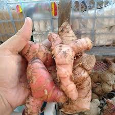 

lengkuas/laos lokal 1kg murah
