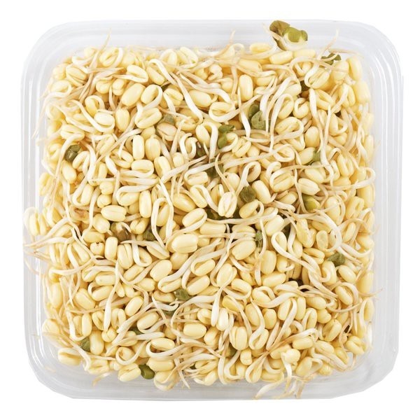 

Toge Soto Toge Pendek 100 Gram Segar Berkualitas