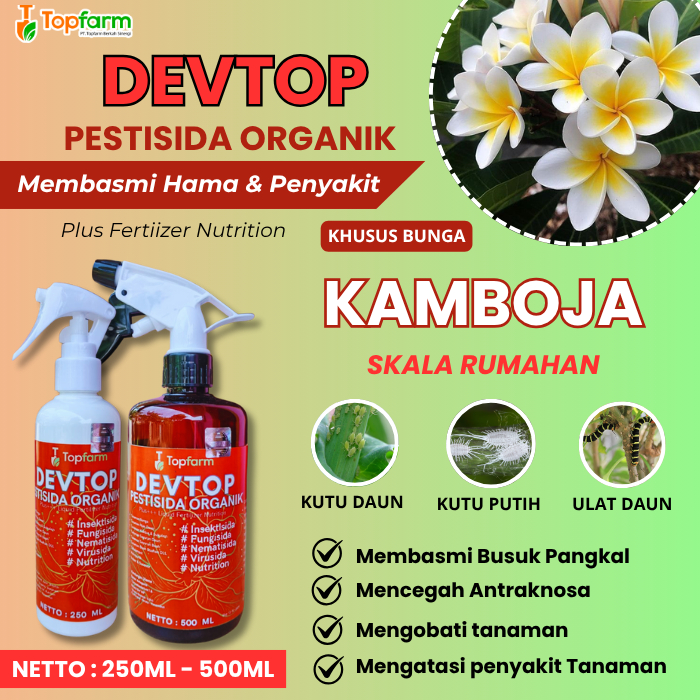 Obat Bunga Kamboja/ Obat Penyakit Kamboja/ Obat Semprot Bunga Kamboja/ Pestisida Organik Bunga Kambo