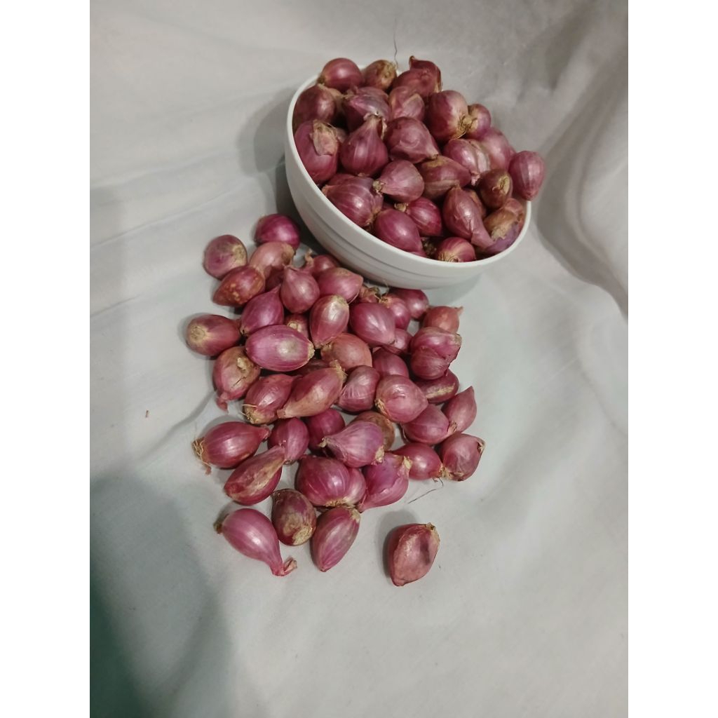 

Bawang Merah