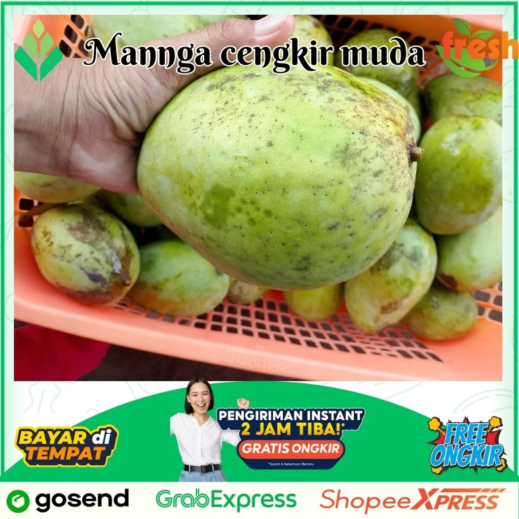 

Mangga cengkir Mangga muda Rujak