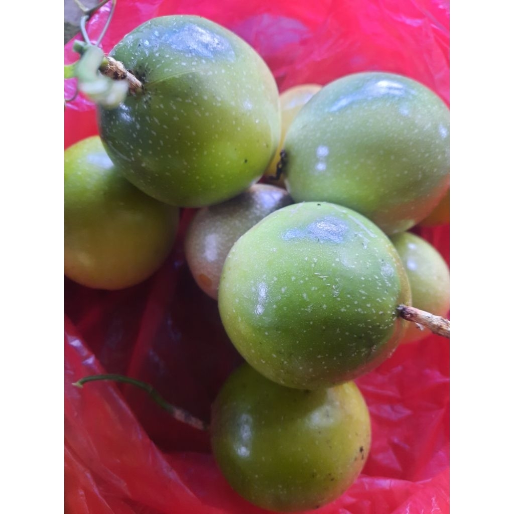 

markisa hijau 1kg_buah segar_kaya akan manfaat