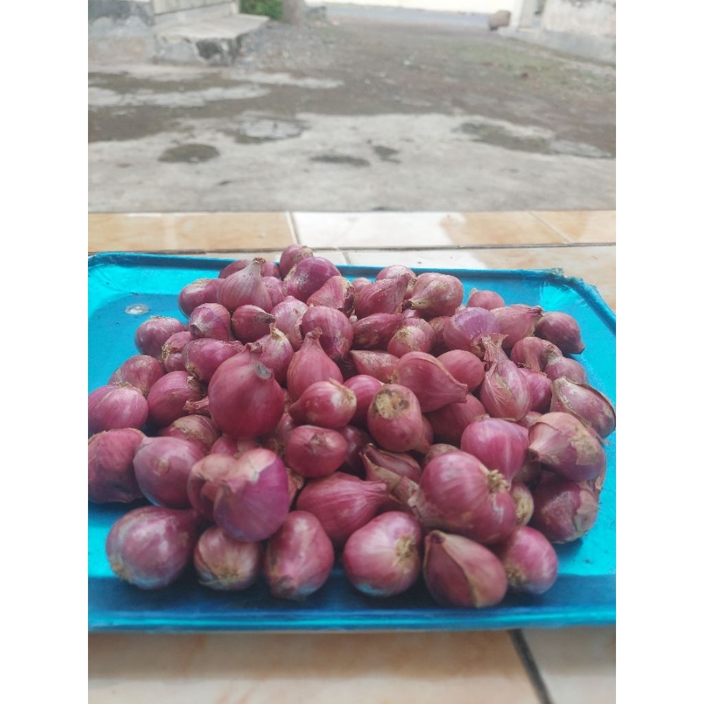 

Bawang Merah Probolinggo 1kg, Segar Murah Berkualitas, Brambang 1kg