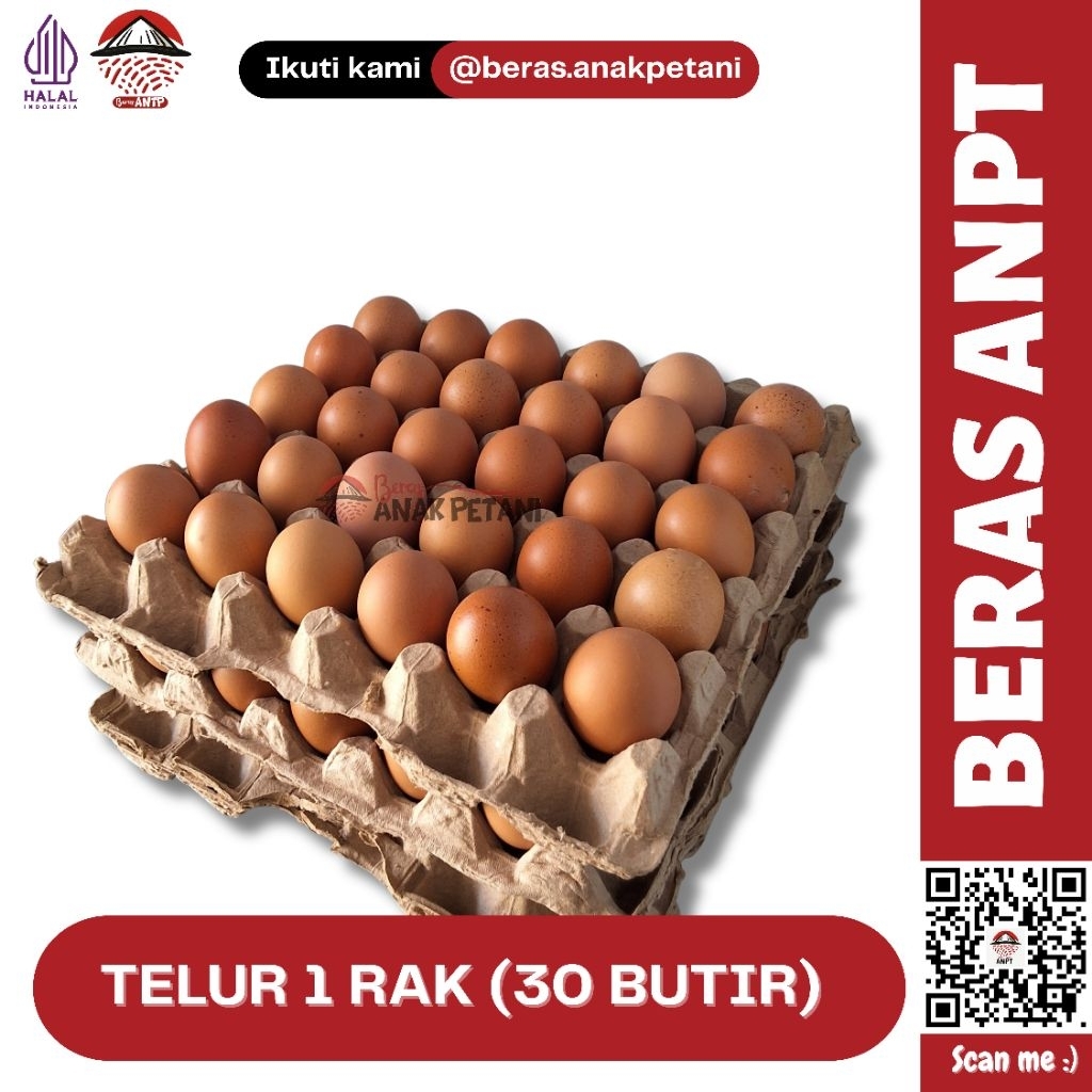

TELUR AYAM PER RAK ISI 30 BUTIR