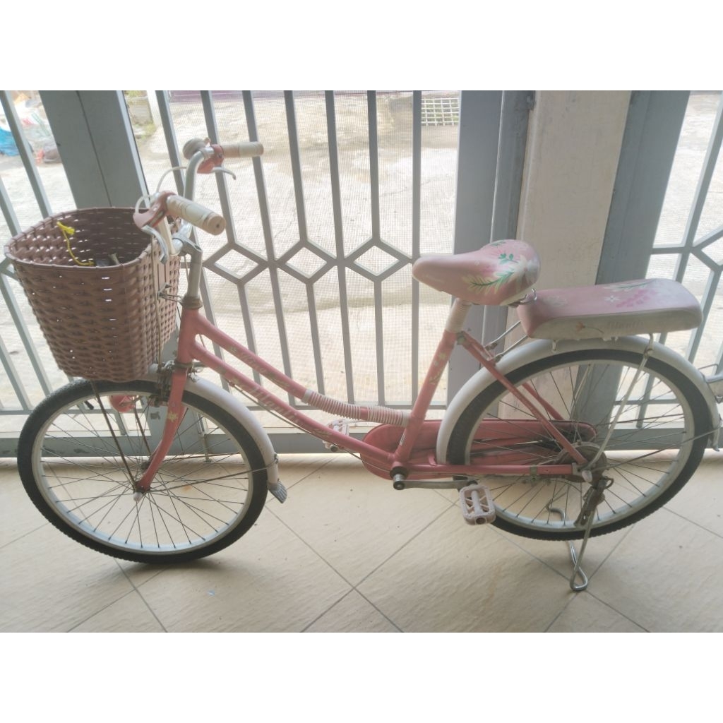 Sepeda Dewasa/ Sepeda Keranjang Besar 24"