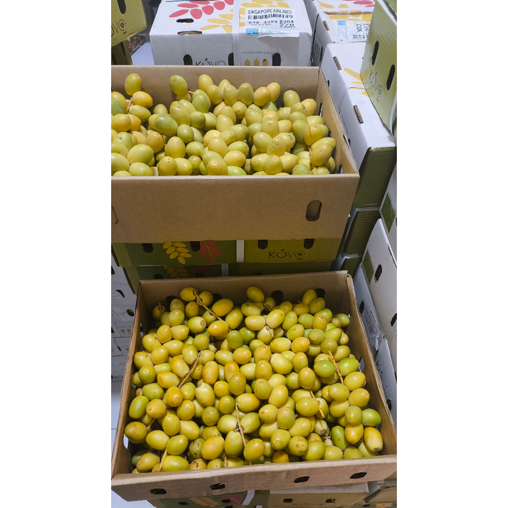 

kurma muda kemasan 500 gr