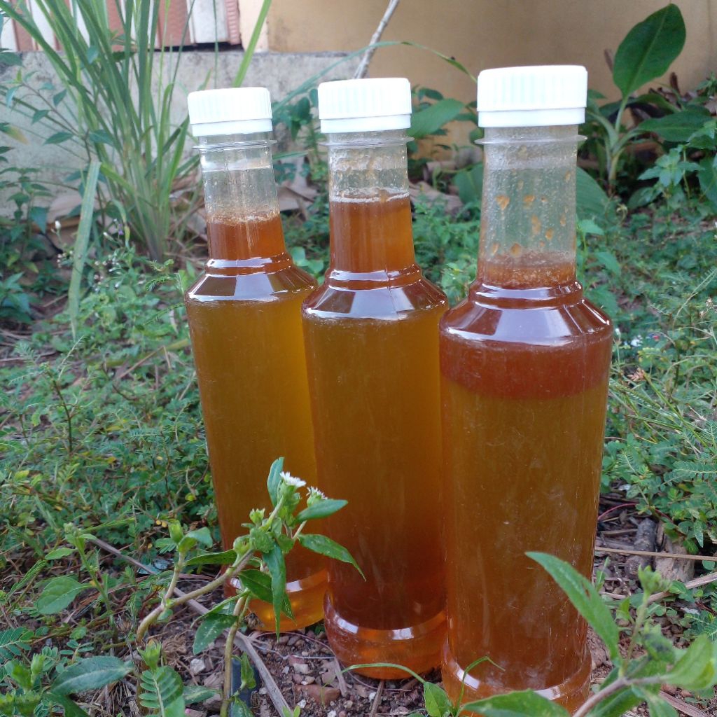 

madu murni hutan liar 350ml (asli sumatra selatan)