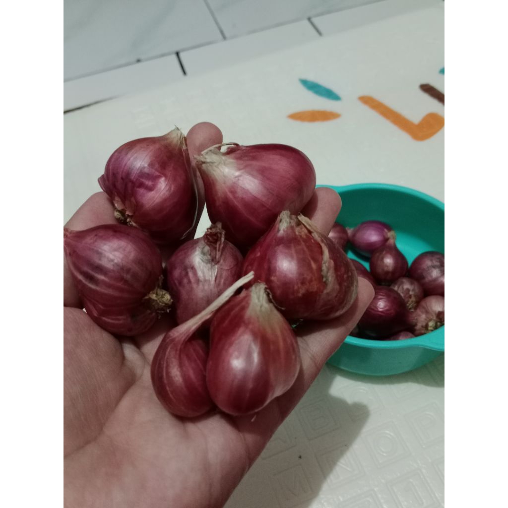 

Bawang Merah asli super besar besar